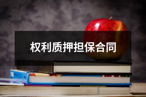 权利质押担保合同