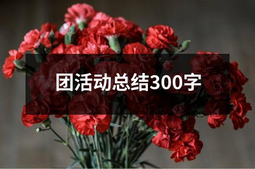 团活动总结300字