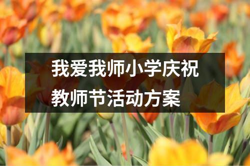 我爱我师小学庆祝教师节活动方案