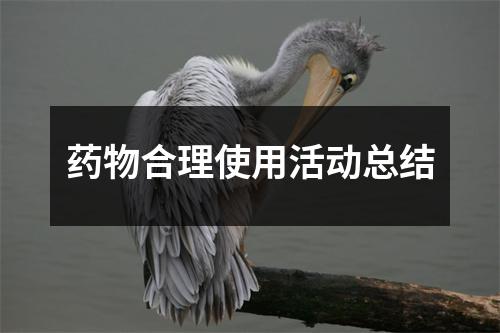 药物合理使用活动总结