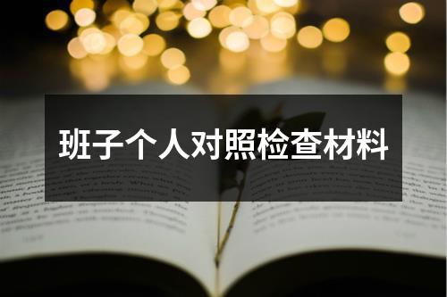 班子个人对照检查材料