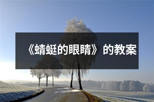 《蜻蜓的眼睛》的教案