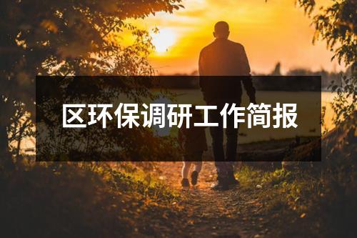 区环保调研工作简报