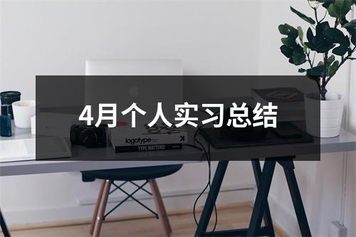 4月个人实习总结