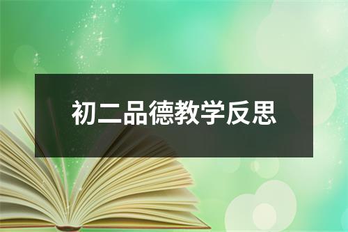 初二品德教学反思