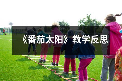 《番茄太阳》教学反思