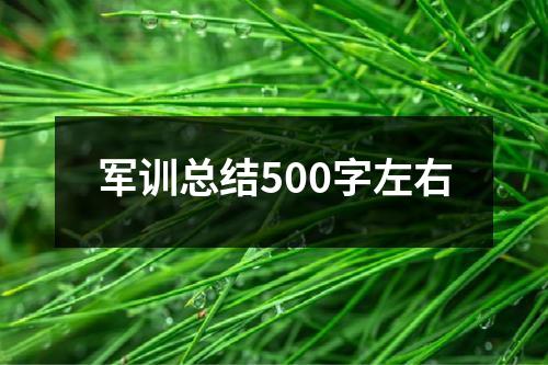 军训总结500字左右