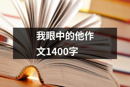 我眼中的他作文1400字