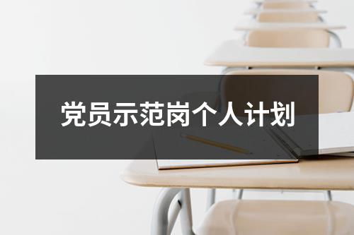 党员示范岗个人计划