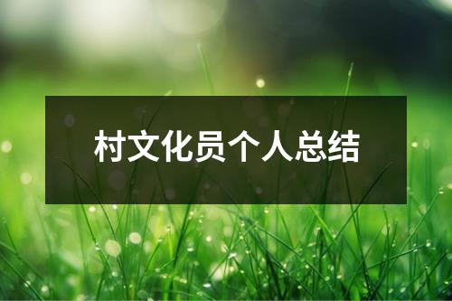 村文化员个人总结