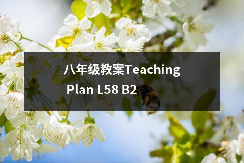 八年级教案Teaching Plan L58 B2