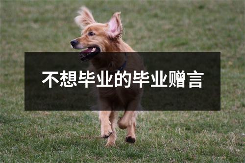 不想毕业的毕业赠言