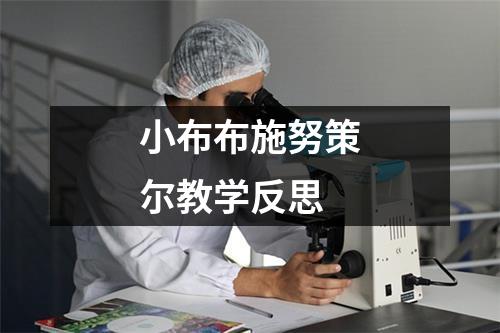 小布布施努策尔教学反思