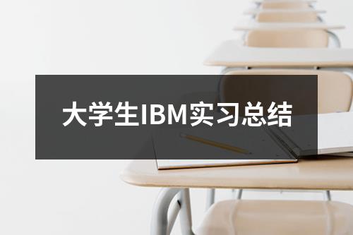 大学生IBM实习总结