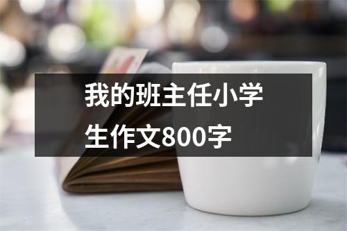 我的班主任小学生作文800字