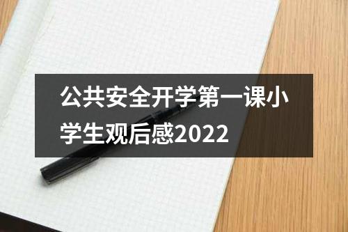 公共安全开学第一课小学生观后感2022