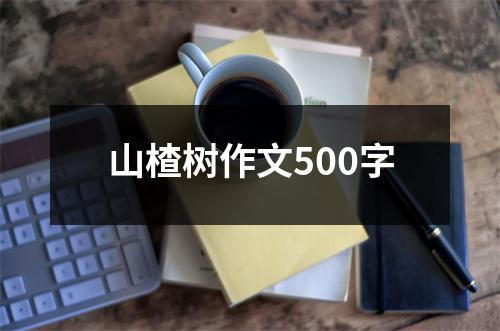 山楂树作文500字