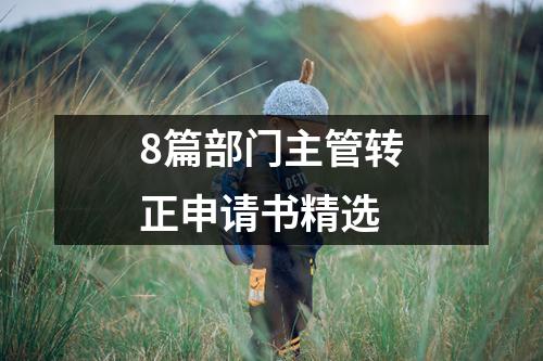 8篇部门主管转正申请书精选