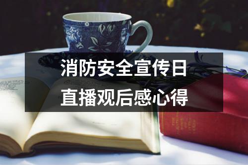 消防安全宣传日直播观后感心得