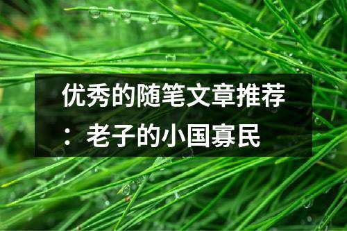 优秀的随笔文章推荐：老子的小国寡民