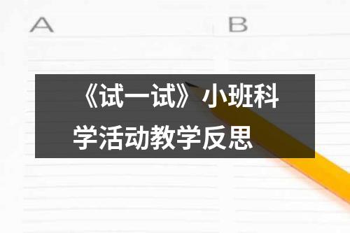 《试一试》小班科学活动教学反思