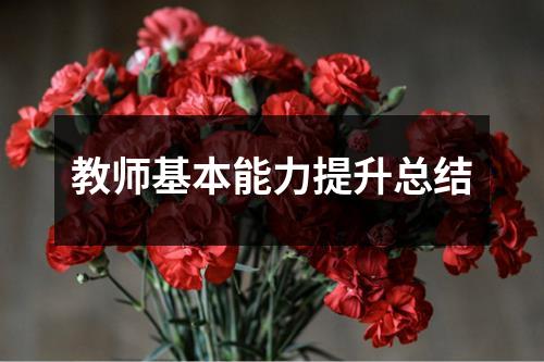 教师基本能力提升总结