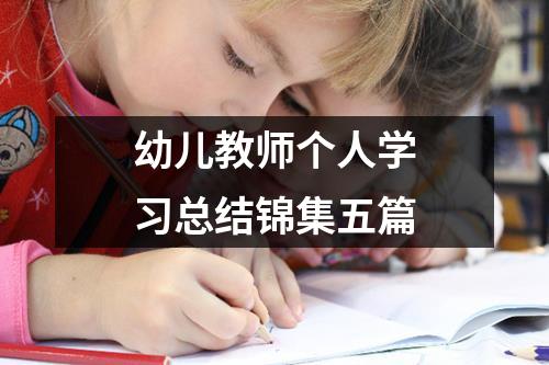 幼儿教师个人学习总结锦集五篇