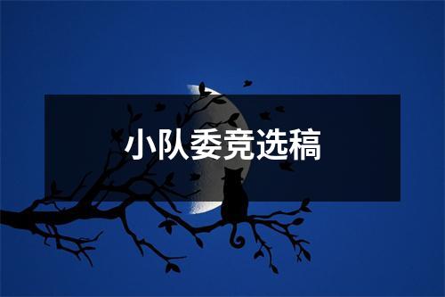 小队委竞选稿