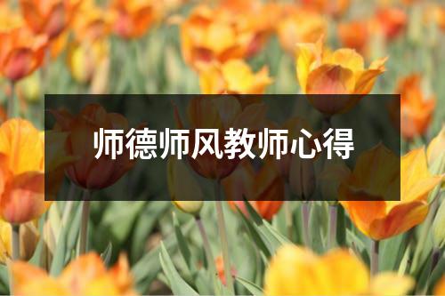 师德师风教师心得