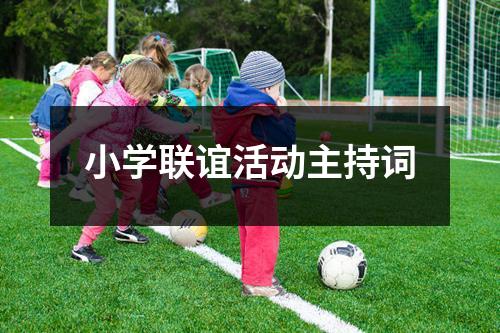 小学联谊活动主持词