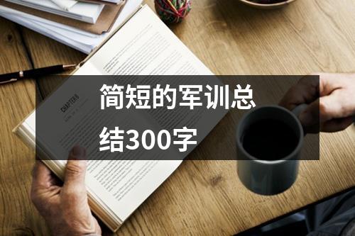 简短的军训总结300字