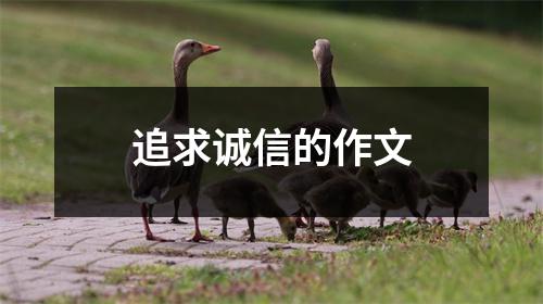 追求诚信的作文