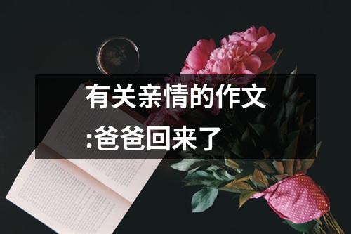 有关亲情的作文:爸爸回来了