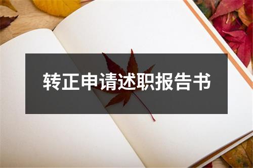 转正申请述职报告书