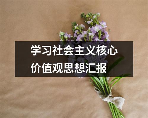 学习社会主义核心价值观思想汇报