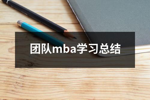 团队mba学习总结