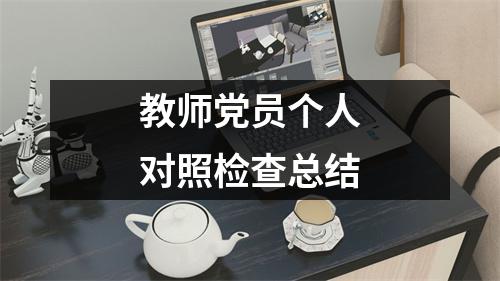 教师党员个人对照检查总结