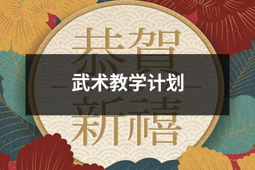 武术教学计划