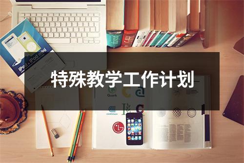 特殊教学工作计划