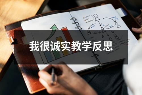 我很诚实教学反思