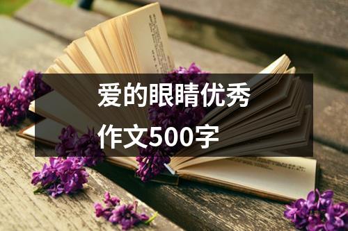 爱的眼睛优秀作文500字