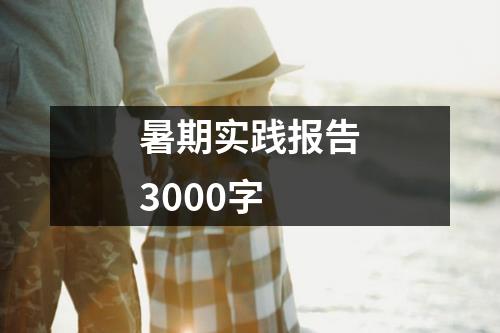 暑期实践报告3000字