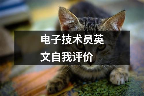 电子技术员英文自我评价