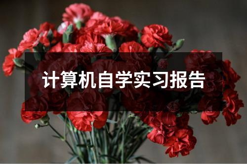 计算机自学实习报告