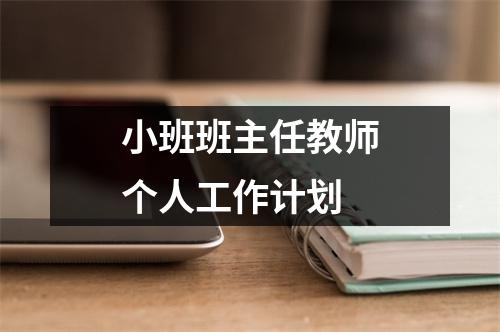 小班班主任教师个人工作计划