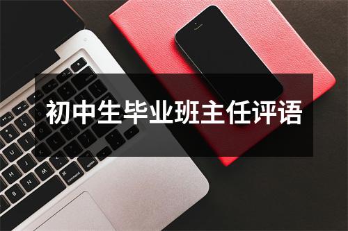 初中生毕业班主任评语