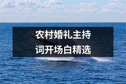 农村婚礼主持词开场白精选