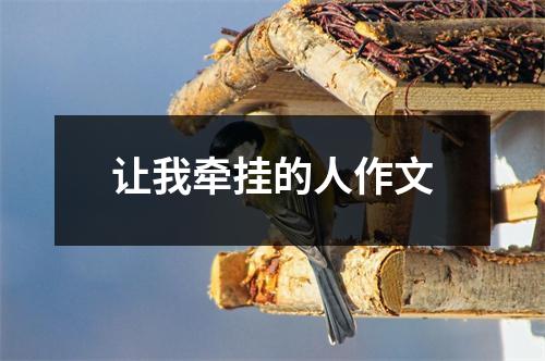 让我牵挂的人作文