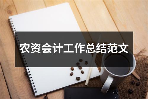 农资会计工作总结范文