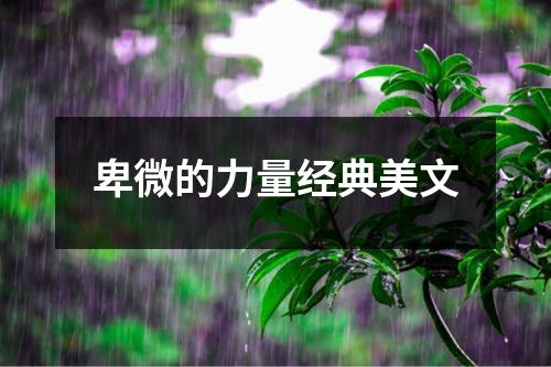 卑微的力量经典美文